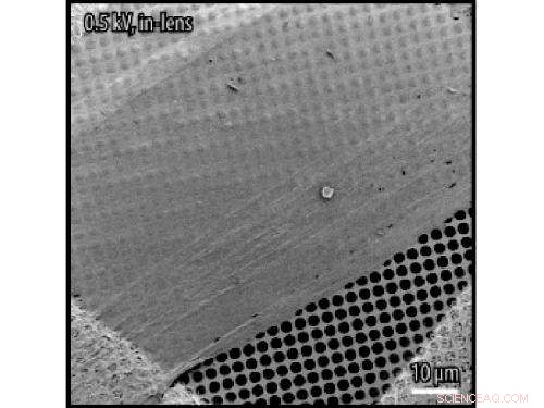 Revolutionary Wafer‑Thin Carbon Layer Synthesis: A Breakthrough in Nano‑Foil Production