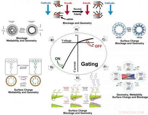 Smart Gating Nanochannels Enable Efficient Water Transport in Confined Spaces