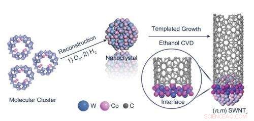 Precision-Controlled Chirality in Single-Walled Carbon Nanotube Growth