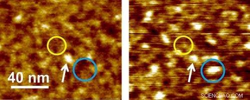 Water Gradually Expands Interlayer Spacing in Graphite Oxide – New Findings