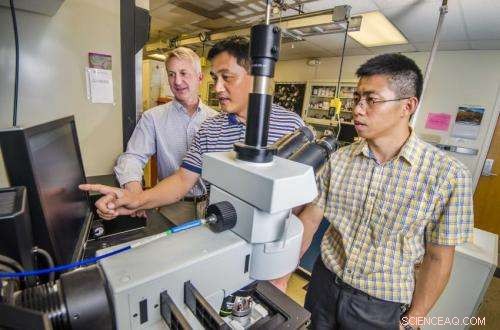 Diamond Plates Fabricate Nanostructures via Pressure, Not Chemical Processes