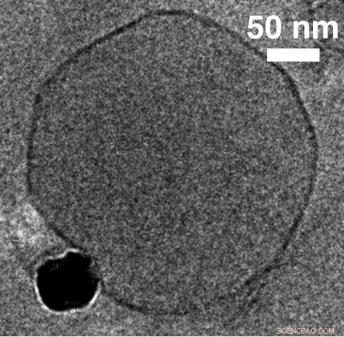 Investigating Nanoparticle-Membrane Interactions for Safety Assurance