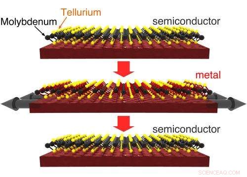 Engineers Design 3-Atom‑Thick Electronic Switch