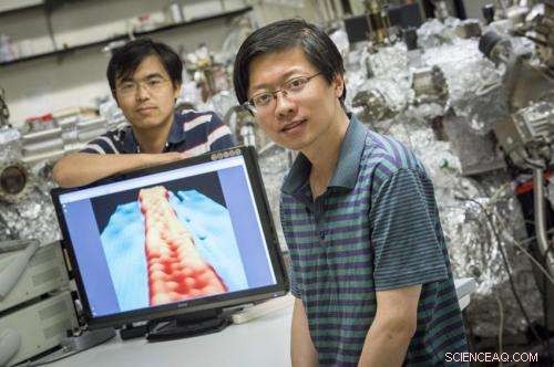 Graphene Nanoribbons: How Width Influences Their Properties