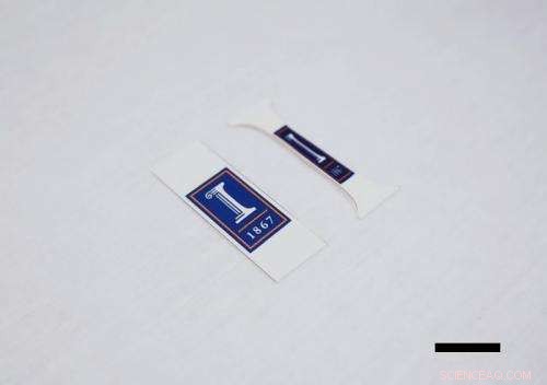 Shrinky Dinks Bridge the Gap in Nanowire Fabrication