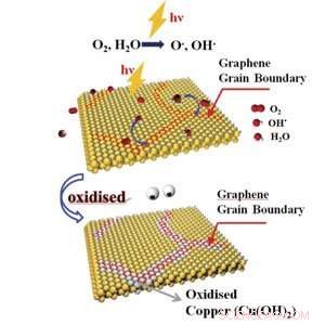 Graphene–Silicon Schottky Diode Nanosensor for Vapor Detection