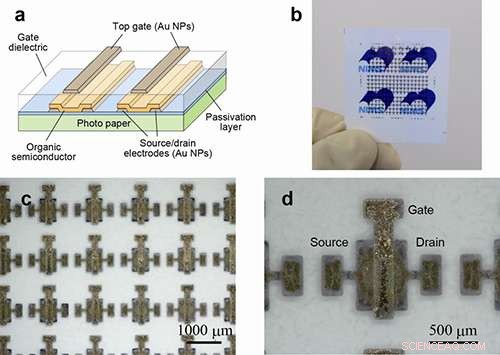 Revolutionizing Flexible Electronics: Fully Printed OTFTs on Paper