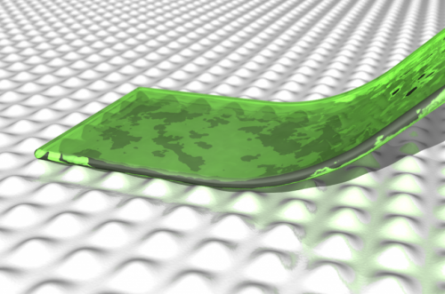 Geckos and Spiders Can t Stick Forever: New Nanophysics Findings