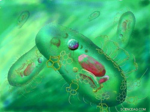 Nano-structured Artificial Cilia: Scientists Innovate a Molecular Transport System