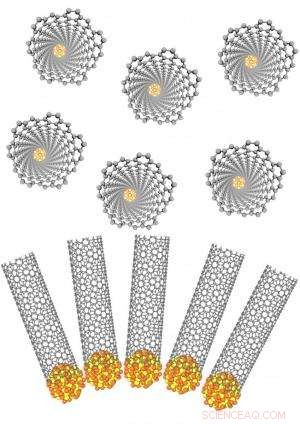 Catalysts & Chirality: Precision Growth of Structure‑Specific SWCNTs