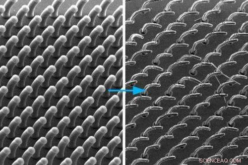 Innovative Carbon Nanotube Process Creates 3‑D Microstructured Surfaces