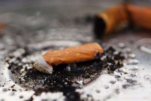 Scientists Transform Waste Cigarette Butts into Advanced Energy Storage Materials