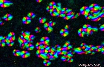 Graphene Discovery Paves Path to Medical Applications