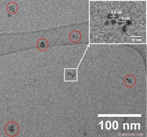 Precision Self‑Assembly of Gold Nanoparticles into Nano‑Clusters: Controlled Domain Formation