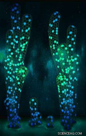 New Technique Yields Pure Single‑Species Single‑Walled Carbon Nanotubes