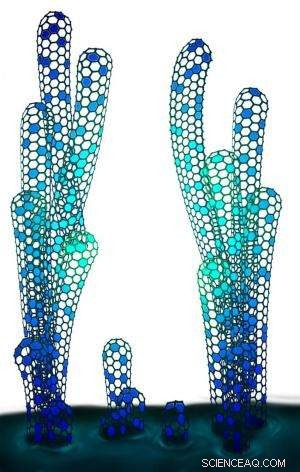 New Technique Yields Pure Single‑Species Single‑Walled Carbon Nanotubes