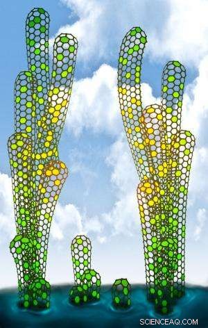 New Technique Yields Pure Single‑Species Single‑Walled Carbon Nanotubes