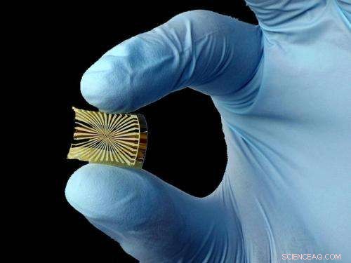 TUM Physicists Develop Artificial Retina: Direct Interface to the Optical Nerve