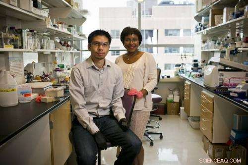 New Biodegradable Nanoscale Film Delivers Continuous Medication for Over a Year