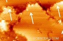 Silicene Proven Stable in Oxygen: Breakthrough for 2D Materials