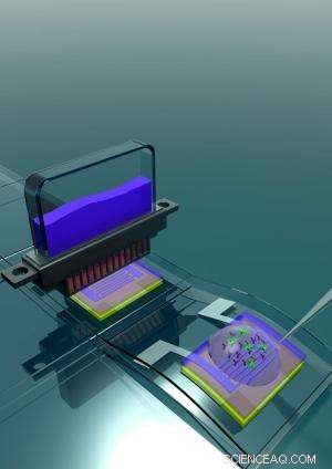 Inkjet‑Printed Field‑Effect Transistor for Rapid Label‑Free Protein Detection