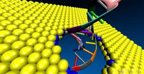 Molybdenum Disulfide Promises Faster, More Accurate DNA Sequencing Over Graphene