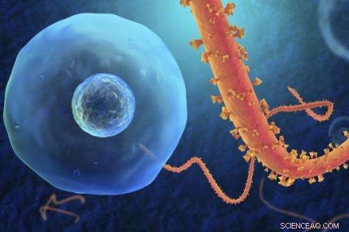 Nanoscale Strategies to Combat Ebola: Cutting-Edge Therapies