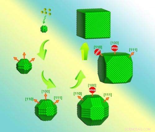 Pioneering Direct Observation of Facet Development in Nanocubes Unveiled by Researchers