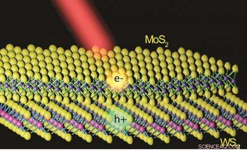 Revolutionizing 2‑D Semiconductors: Ultrafast Charge Transfer Achieved in MoS₂/WS₂ Heterostructures