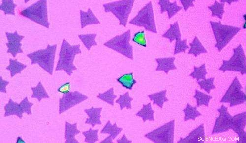 Researchers Build Atomically Seamless, Ultra‑Thin Semiconductor Junctions