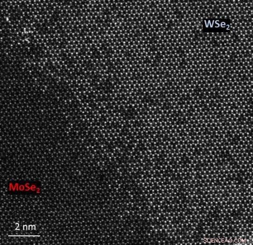 Researchers Build Atomically Seamless, Ultra‑Thin Semiconductor Junctions