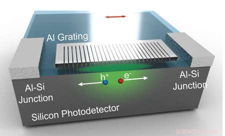 Rice University Unveils Color‑Sensing Biomimetic Photodetector