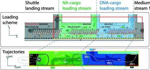 Precision Nanoscale Assembly Line for Biological Molecules
