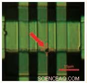 Enhancing Printed Electronics Production and Device Characterization for Superior Performance