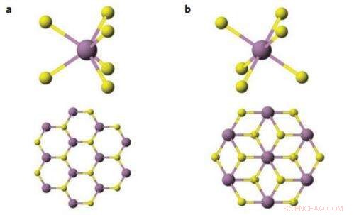 Breakthrough: Scientists Lower Contact Resistance in Molybdenum Disulfide Nanosheets