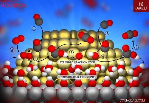 Gold’s Unexpected Oxidation Activity: How Water Drives Nanocatalysis
