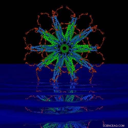 Breakthrough Nanoparticle Technology Paves Way for Next-Gen Malaria Vaccine