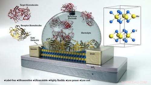 New Molybdenite Biosensor Achieves 74‑Fold Sensitivity Over Graphene