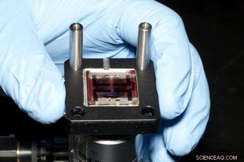 New Study Illuminates Key Characteristics of Organic Photovoltaic Cells