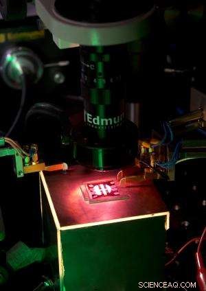 New Study Illuminates Key Characteristics of Organic Photovoltaic Cells