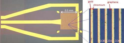 Exploring Tomorrow’s Vision: How Graphene Is Revolutionizing Night‑Vision Goggles