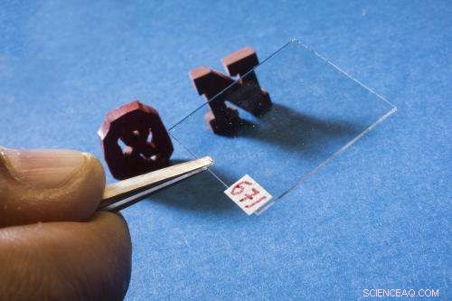 Advanced Nanoparticle Sensor Mimics Human Touch to Enhance Breast Cancer Detection