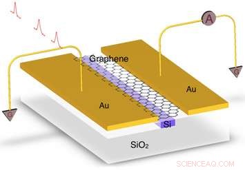 Enhancing Graphene s Optical Absorption for Superior Photodetector Performance