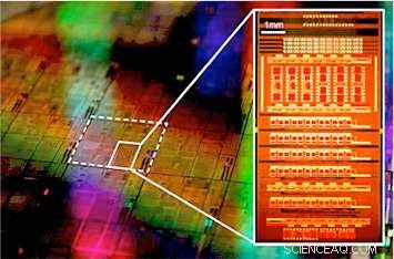Enhancing Graphene s Optical Absorption for Superior Photodetector Performance