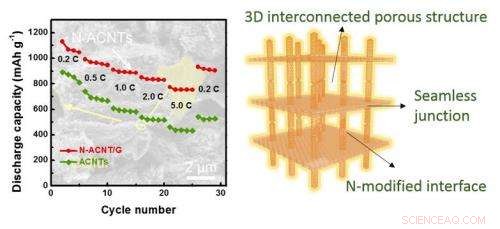 Aligned Carbon Nanotube–Graphene Sandwiches: Nitrogen‑Doped Structures via In Situ CVD