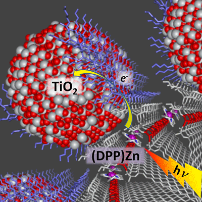 Photo-Induced Charge Separation in Peptide/Zn-Porphyrin/TiO₂ Nanobiohybrid Arrays