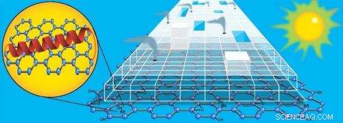 Nanoscale Hydrogen Generator: Light-Driven Production via Protein-Graphene Hybrid