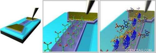 Graphene Biosensor Pinpoints Cancer Biomarkers with Unprecedented Precision