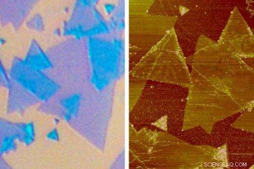 Tunable Light Source Promises Advancements in Optoelectronic Chips