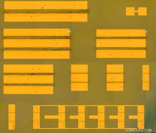 Advancing Flexible Electronics: Enhancing Carbon Nanotube Transistor Performance with Fluoropolymer Coatings